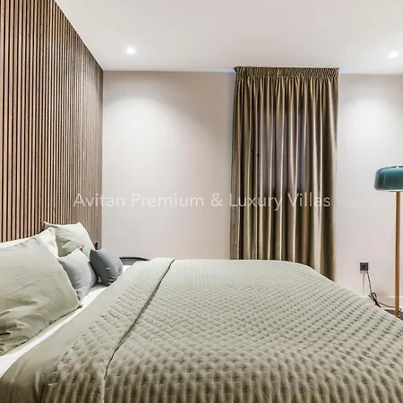 Avitan Premium & Luxury فيلة أذيخي