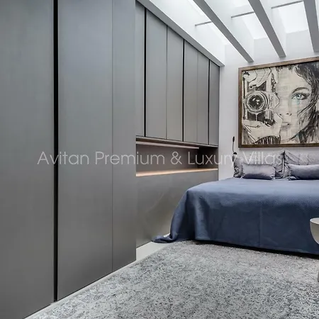 Avitan Premium & Luxury فيلة