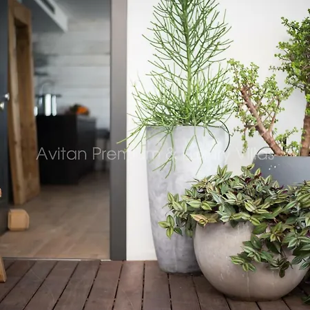 فيلة Avitan Premium & Luxury